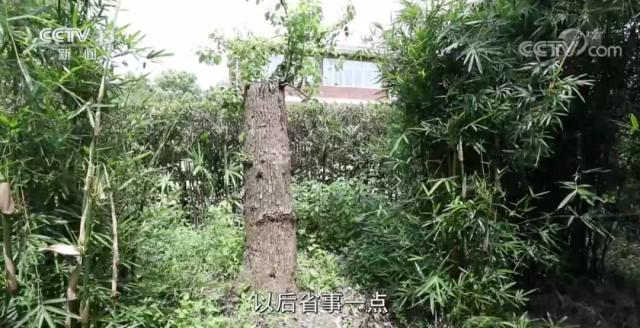 女子穿和服做核酸檢測遭勸阻，必須“換了衣服再來”？